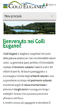 Mobile Screenshot of collieuganei.it